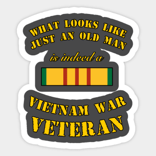 vietnam war veteran Sticker